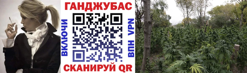 Канабис OG Kush  Шахунья 